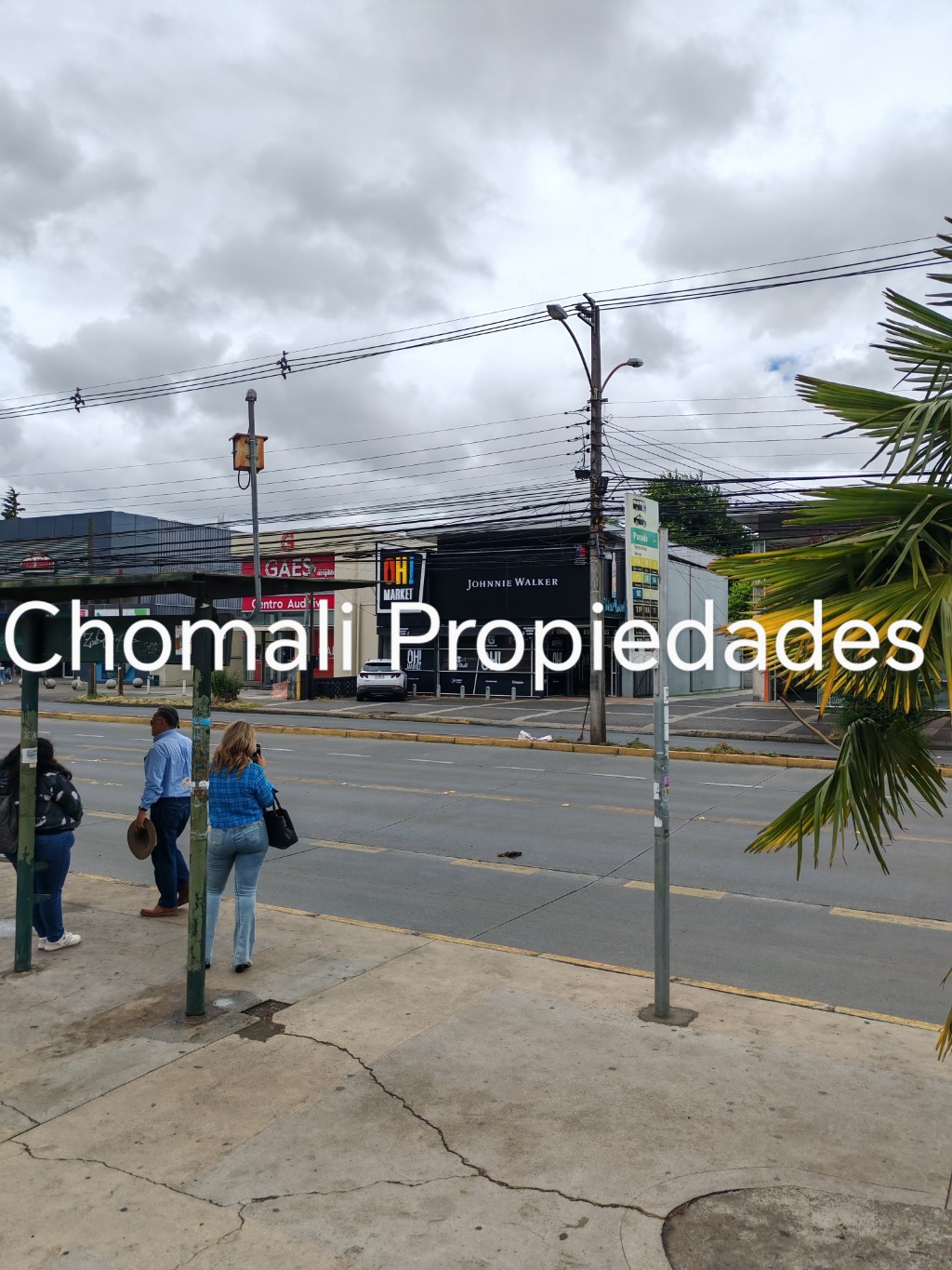 GRAN LOCAL COMERCIAL EN PLENA AVENIDA ALEMANIA